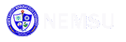 nemsu.online
